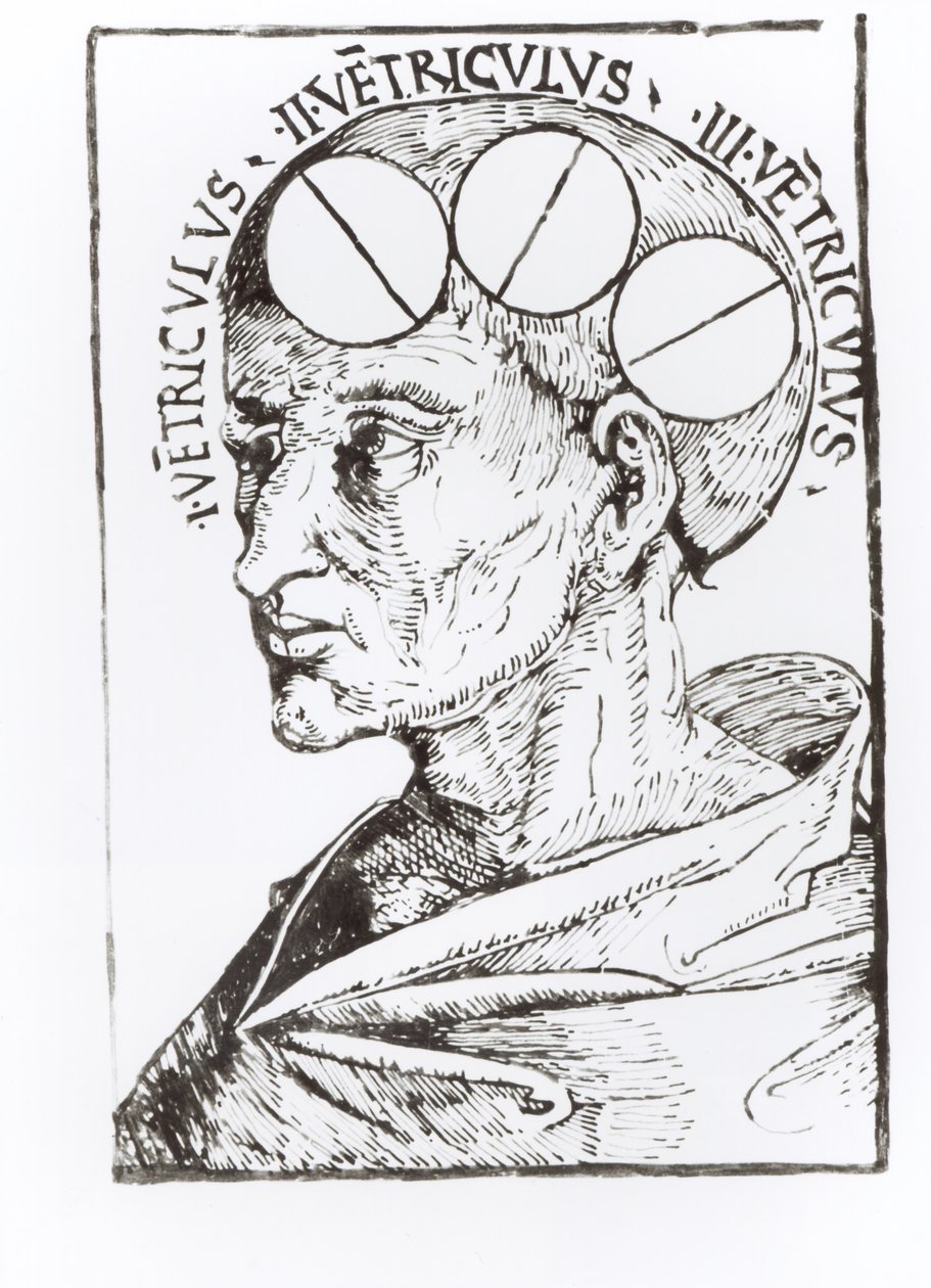 Phrenology by English School