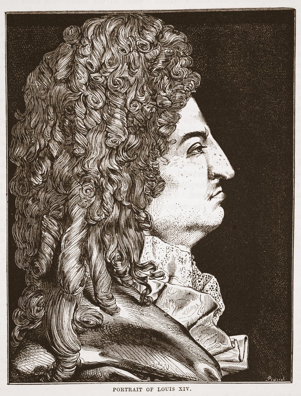 Portrait of Louis XIV by English School