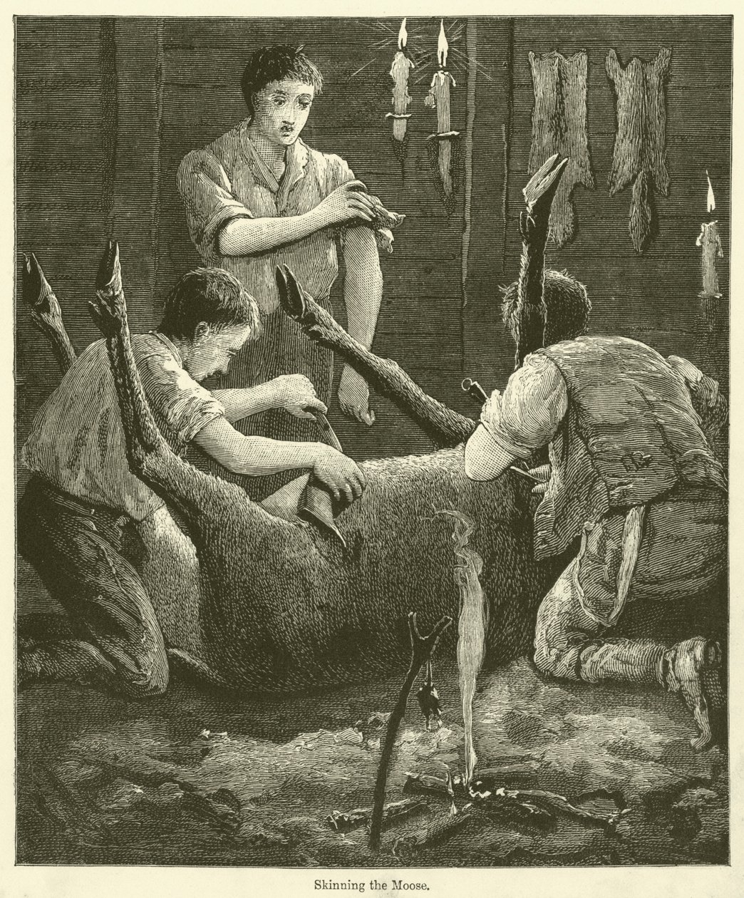 Skinning the Moose (engraving) by English School