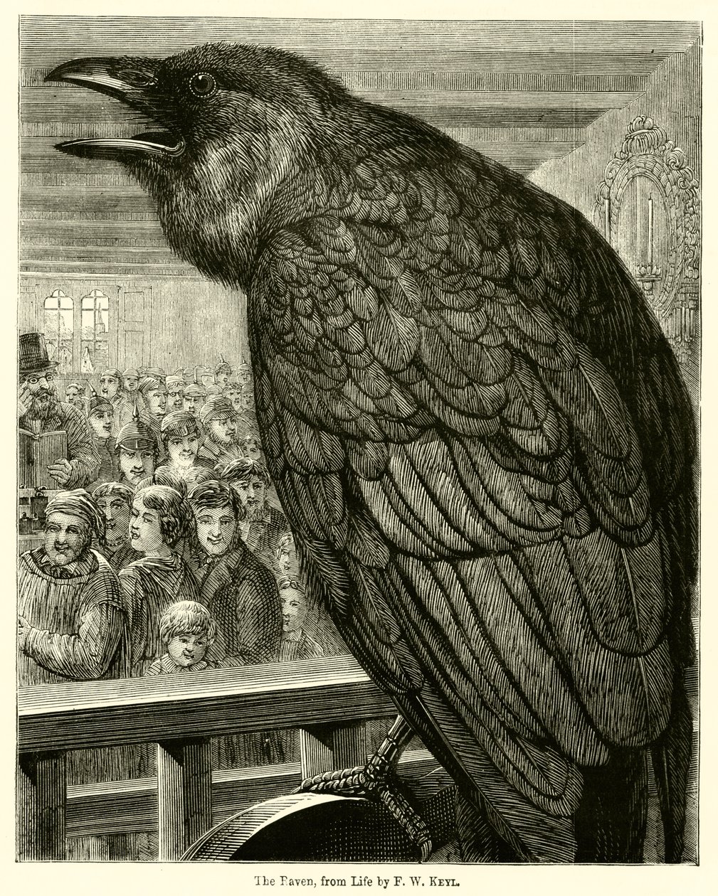 The Raven, from Life by English School