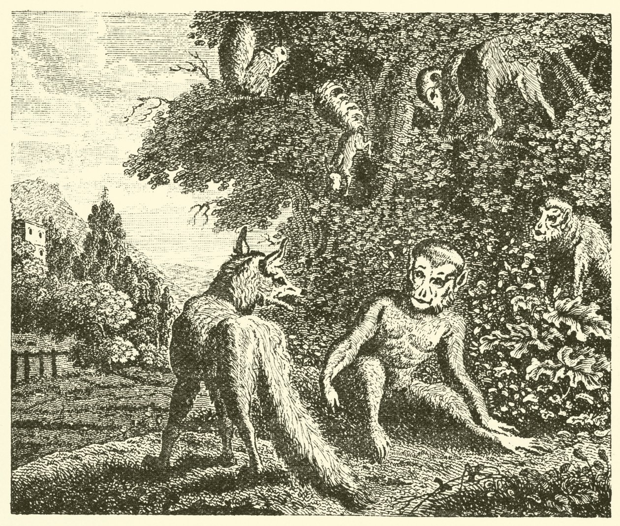 The Ape and the Fox by English School