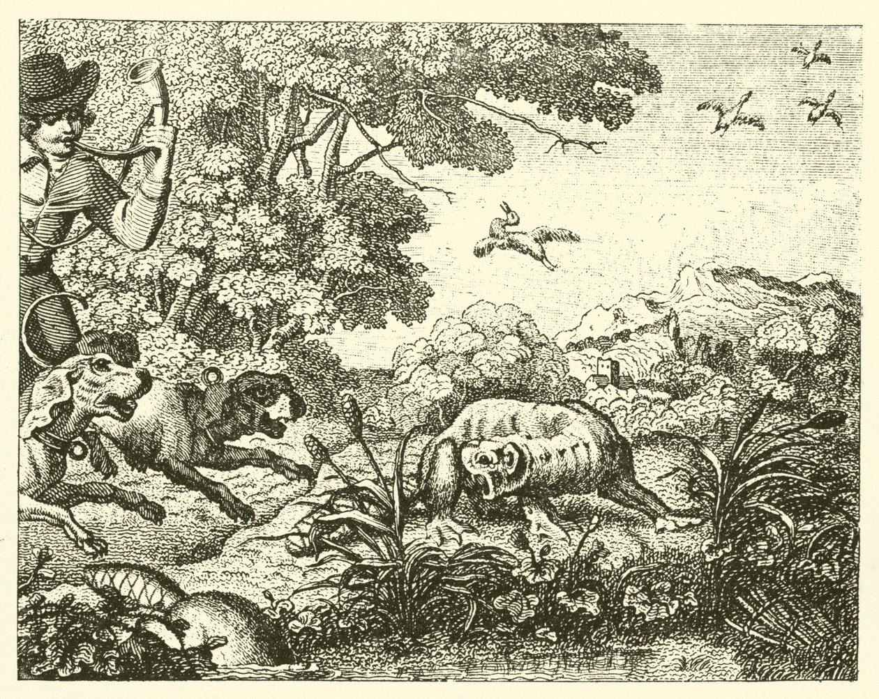 The Hunted Beaver by English School