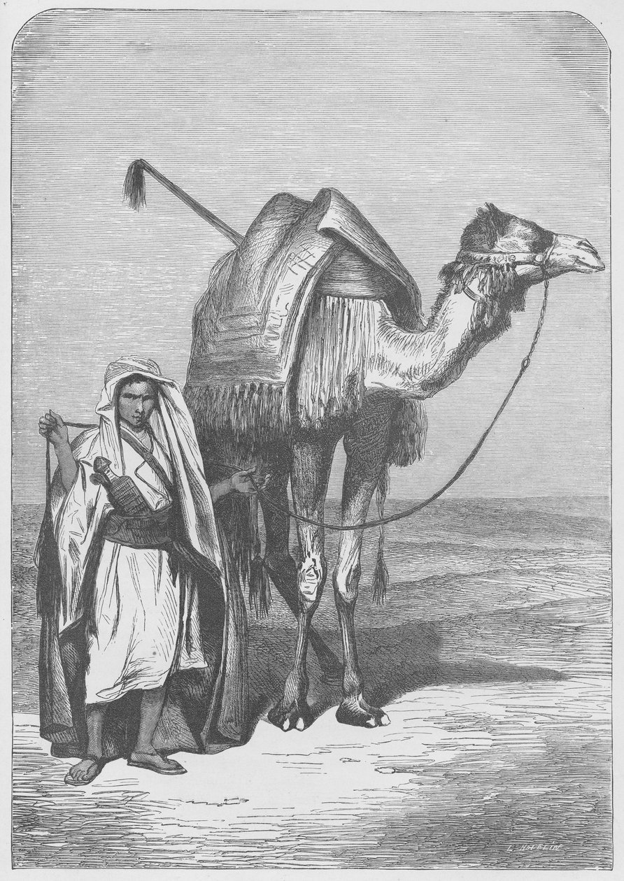 The ship of the desert by English School