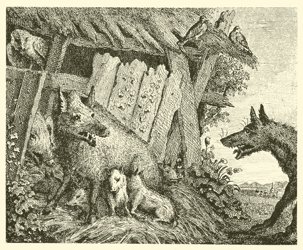 The Sow and the Wolf by English School
