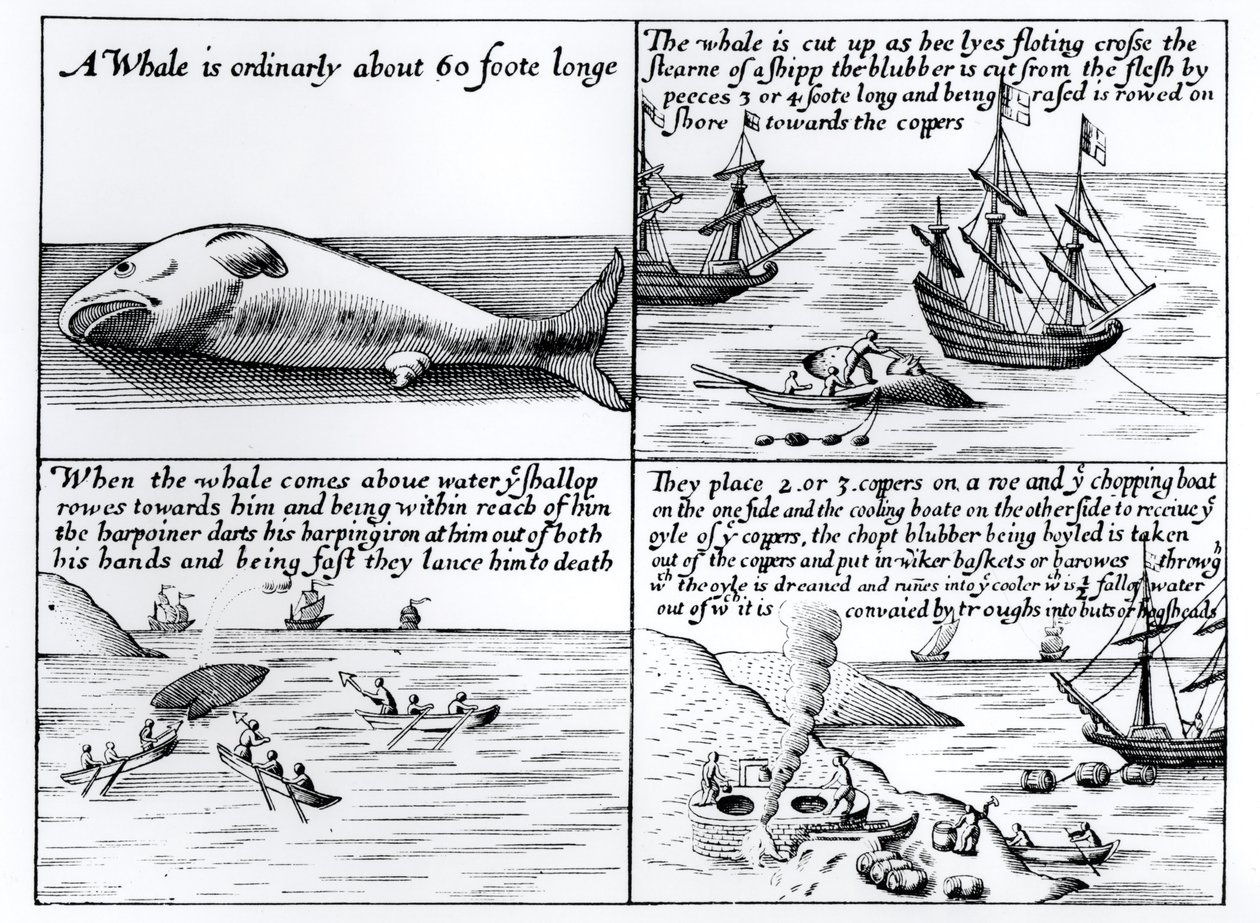 Whaling at Spitzbergen in 1611 by English School