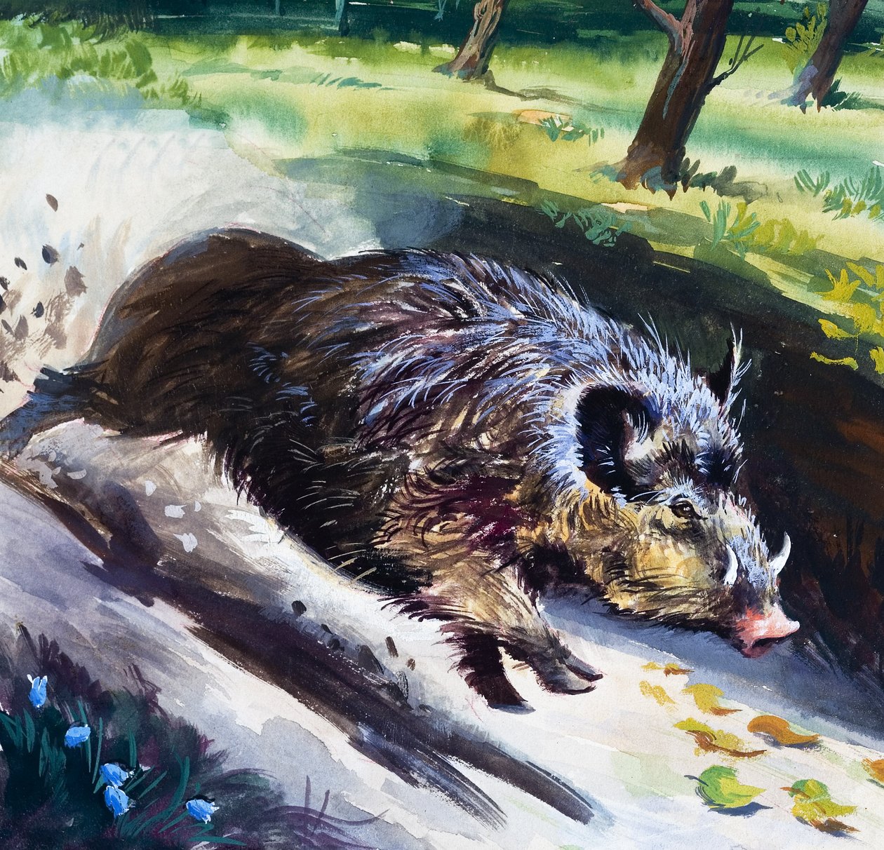 Wild Boar by English School
