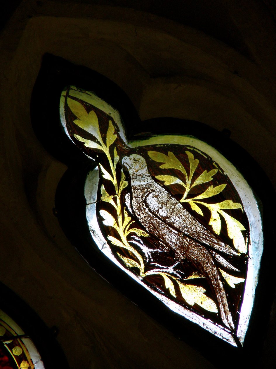 Bird by English School