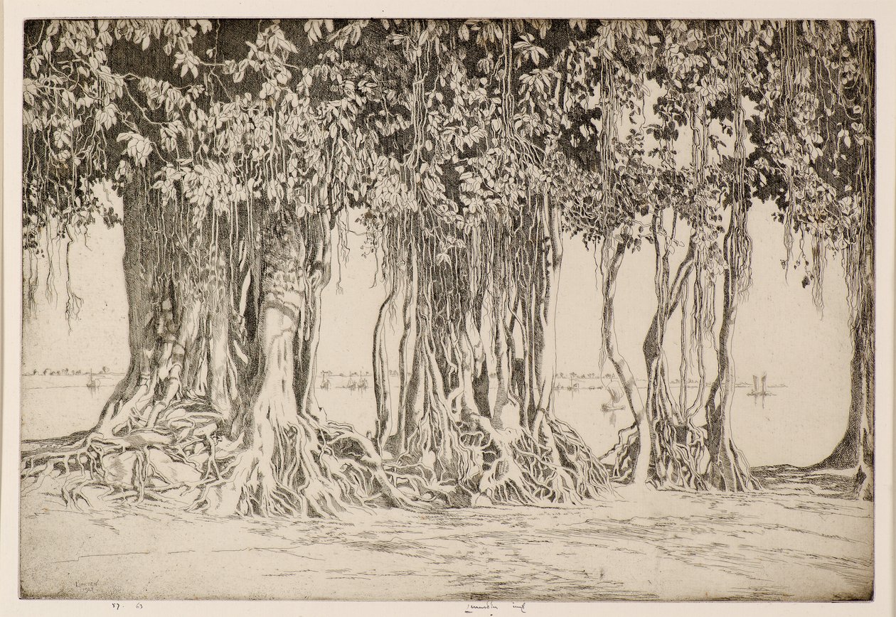 The Banyan Tree by Ernest Stephen Lumsden