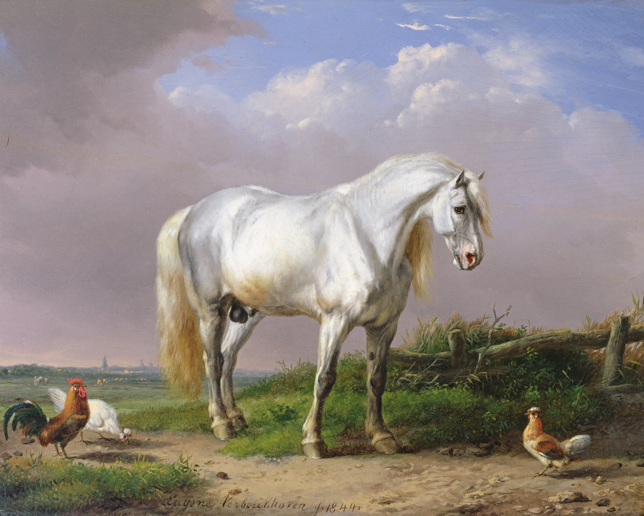 Grey Stallion by Eugene Joseph Verboeckhoven
