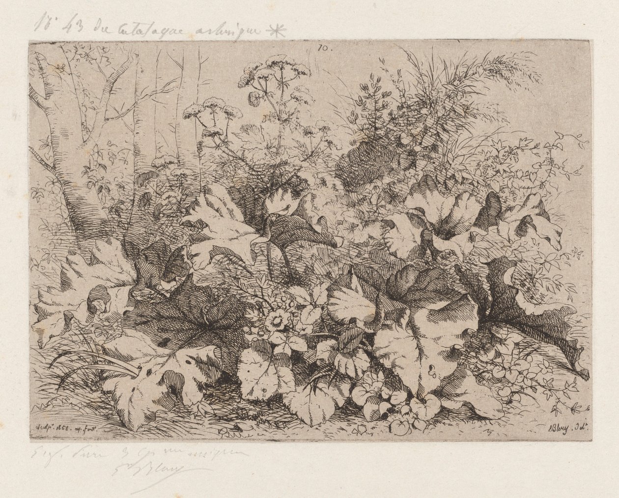 Burdock in Bloom, 1858 by Eugene Bléry