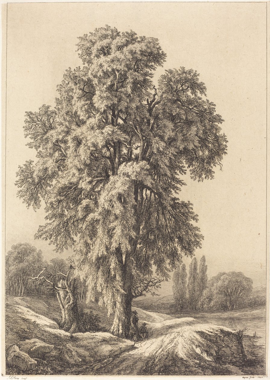 The Elm Tree, 1840 by Eugene Bléry