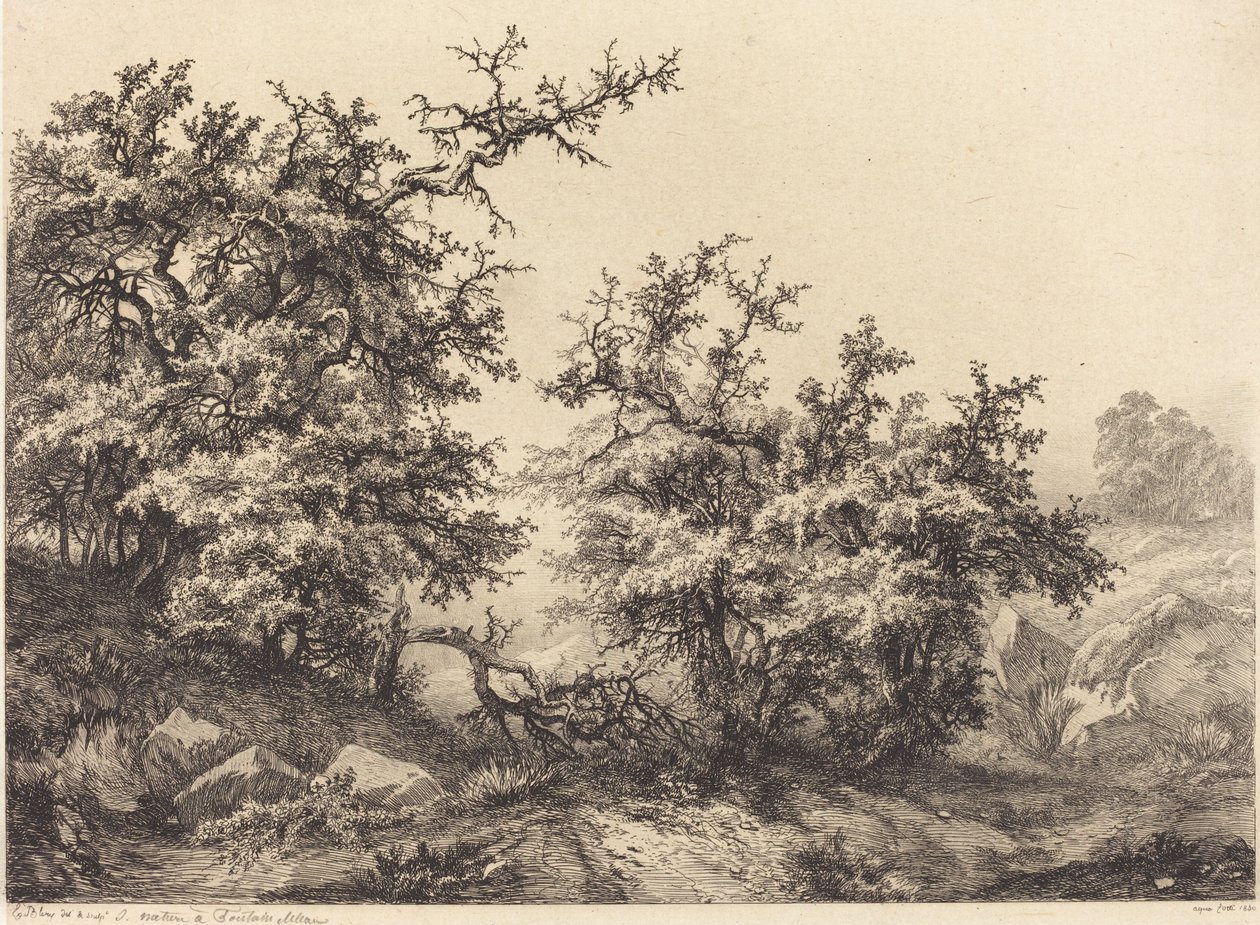Thornbushes by Eugene Bléry