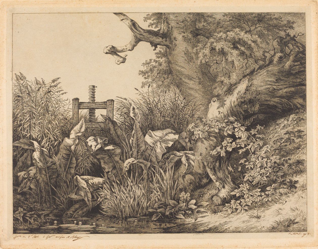 Water Dock and Brambles at a Sluice by Eugene Bléry
