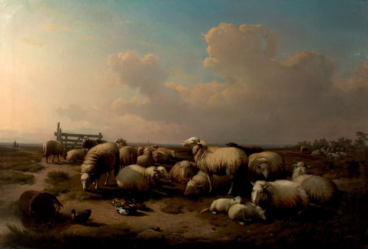 The Sheep by Eugene Joseph Verboeckhoven