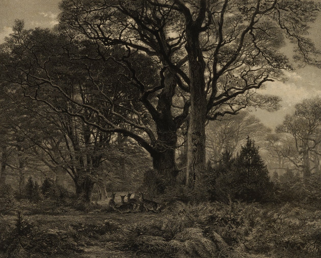 Forest of Fontainebleau by Eugene Leroux