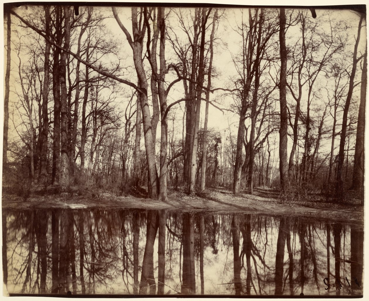 Saint-Cloud by Eugène Atget