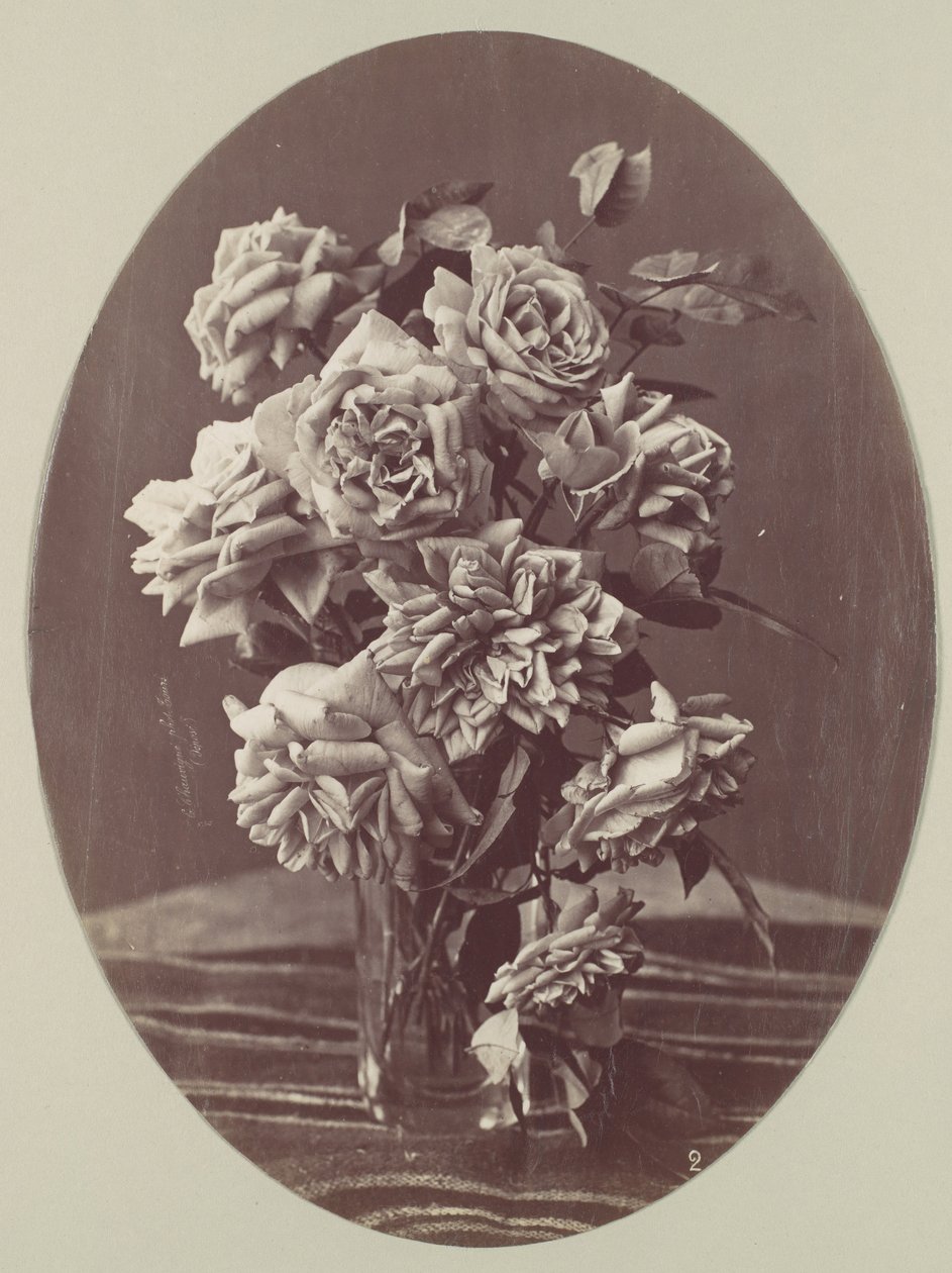 Roses, ca. 1875 by Eugène Chauvigné