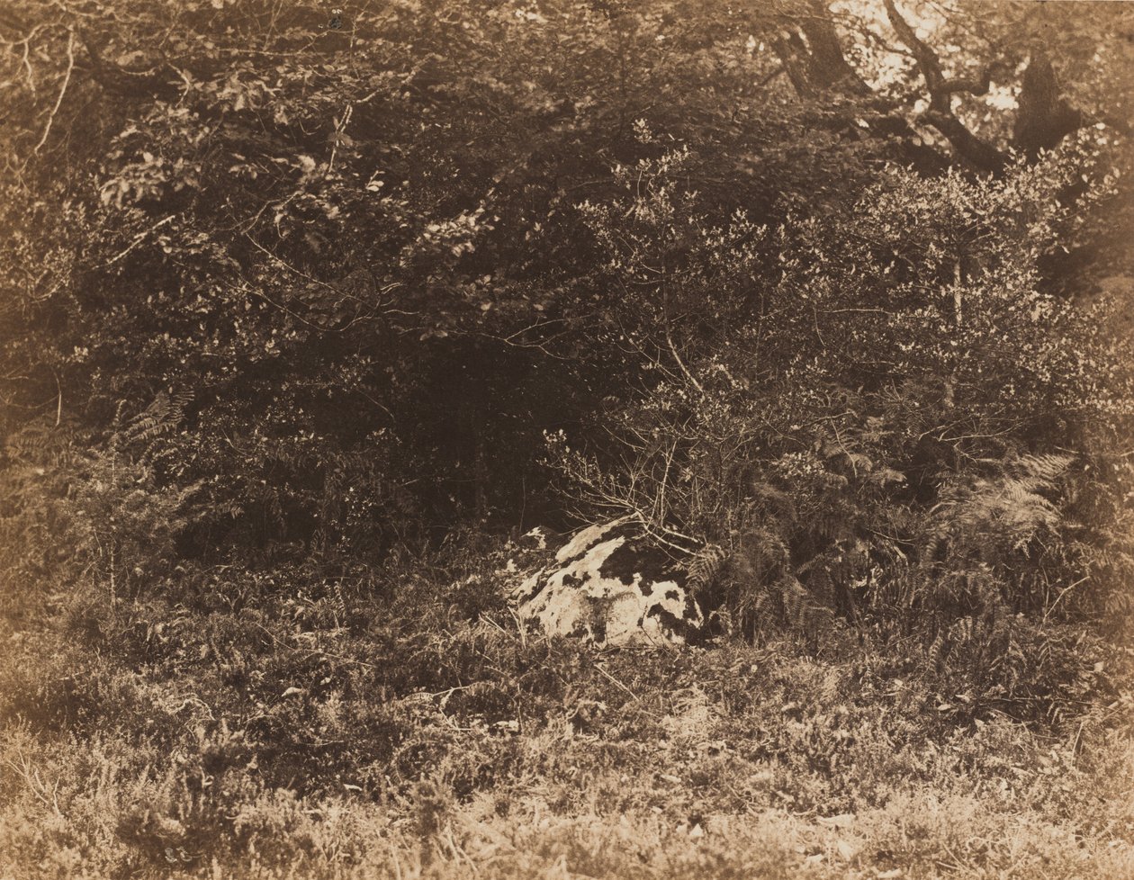 A Rock in the Forest by Eugène Cuvelier