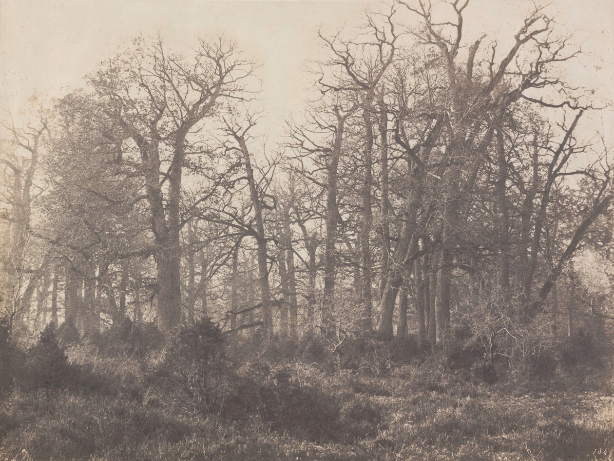 Crossroads of the Thorn by Eugène Cuvelier