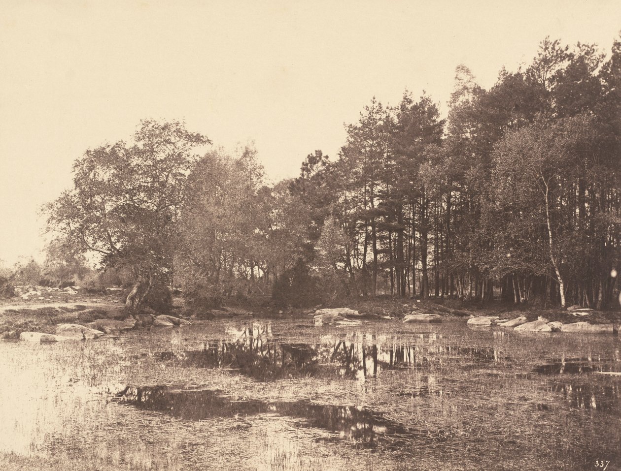 Marsh at Piat (Belle-Croix Plateau), c. 1863 by Eugène Cuvelier