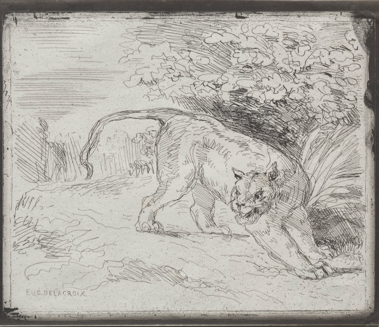 A Trapped Tiger by Eugène Delacroix