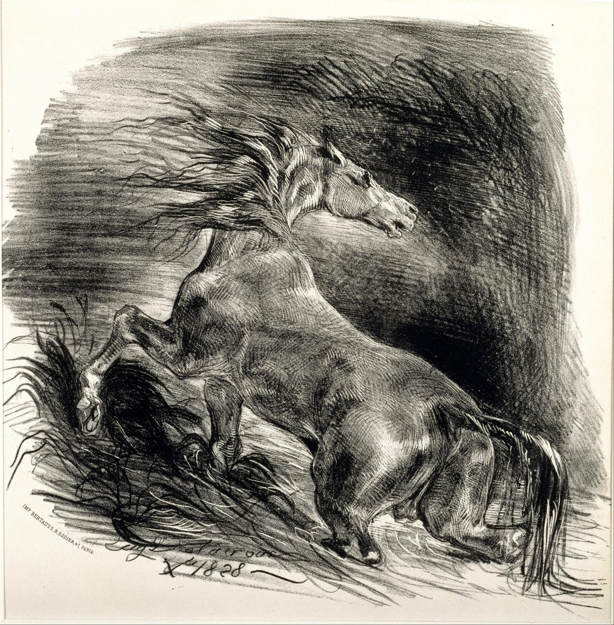 Wild Horse by Eugène Delacroix
