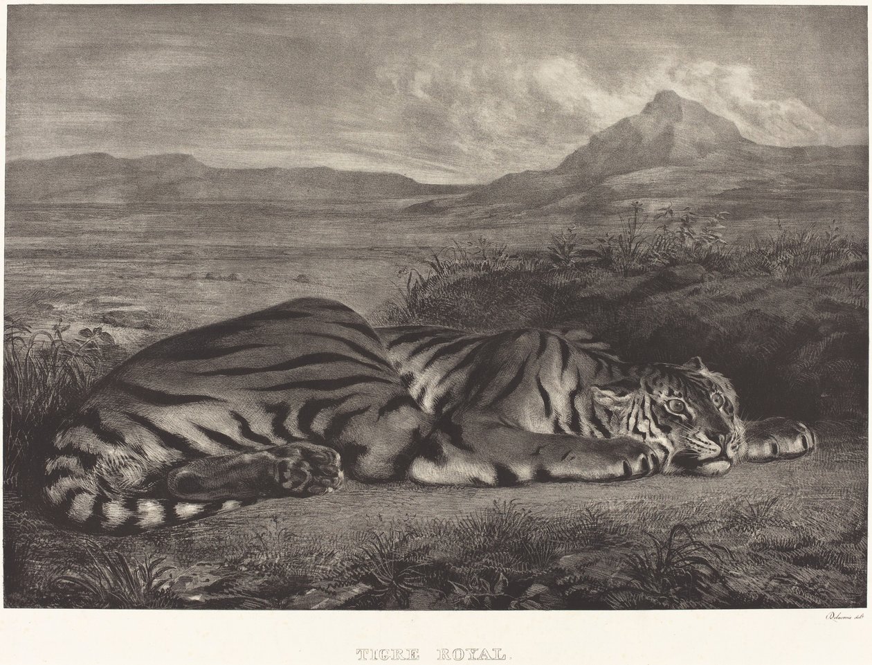 Royal Tiger by Eugène Delacroix