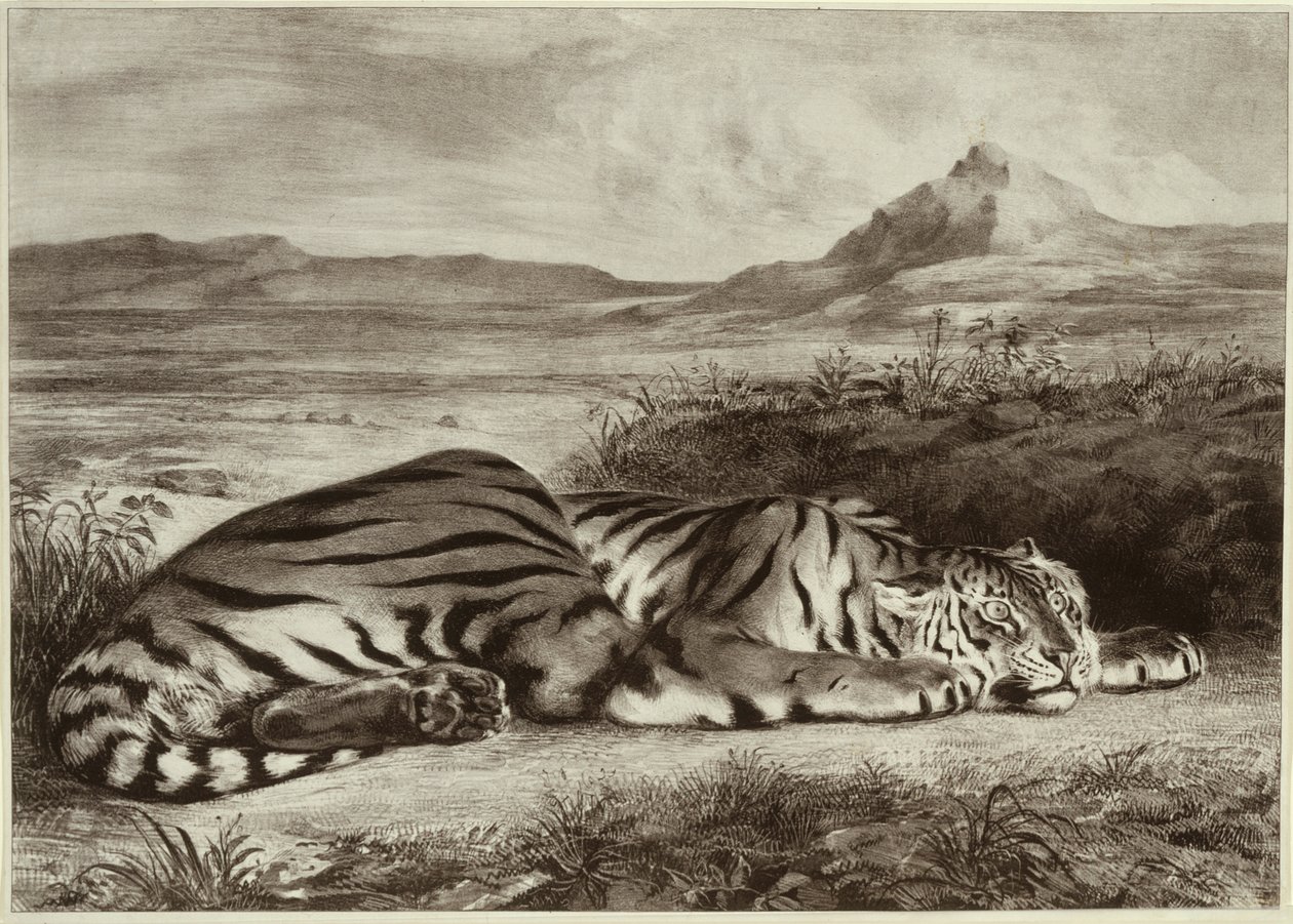 Royal Tiger by Eugène Delacroix