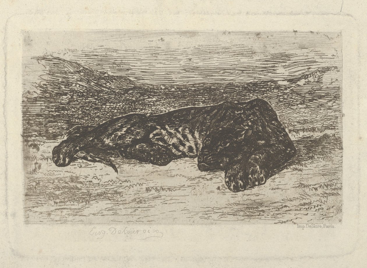 Tiger Lying in the Desert, 1846 by Eugène Delacroix