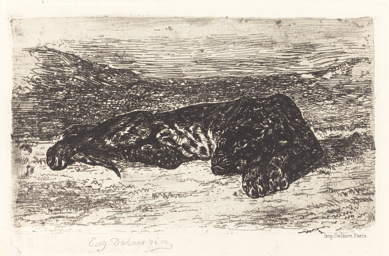Tiger Sleeping in the Desert, c. 1830 by Eugène Delacroix