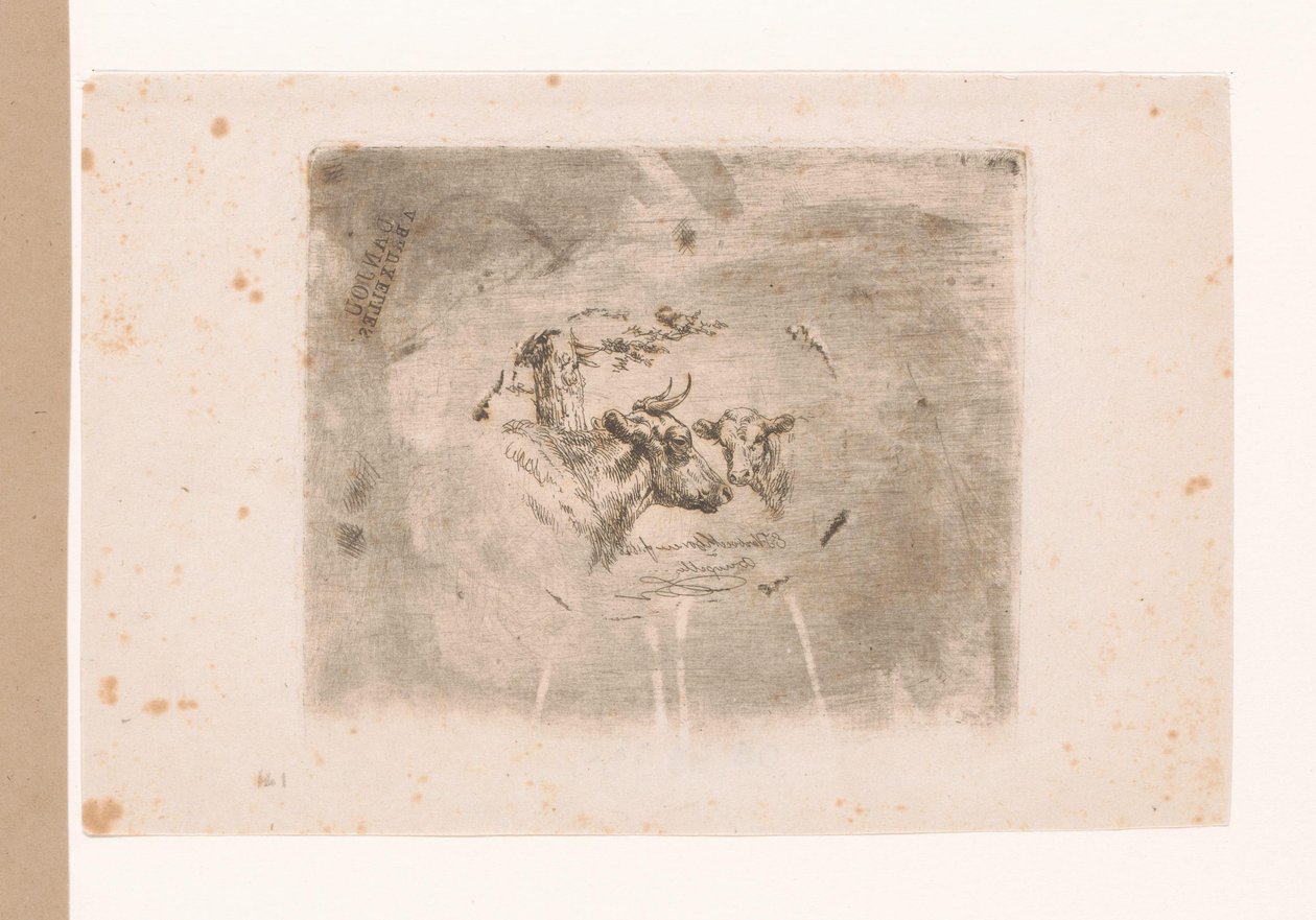 Head of a Bull and a Calf by Eugène Verboeckhoven