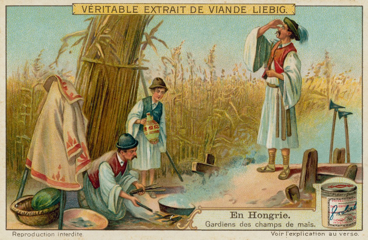 The Maize Field Guards by European School