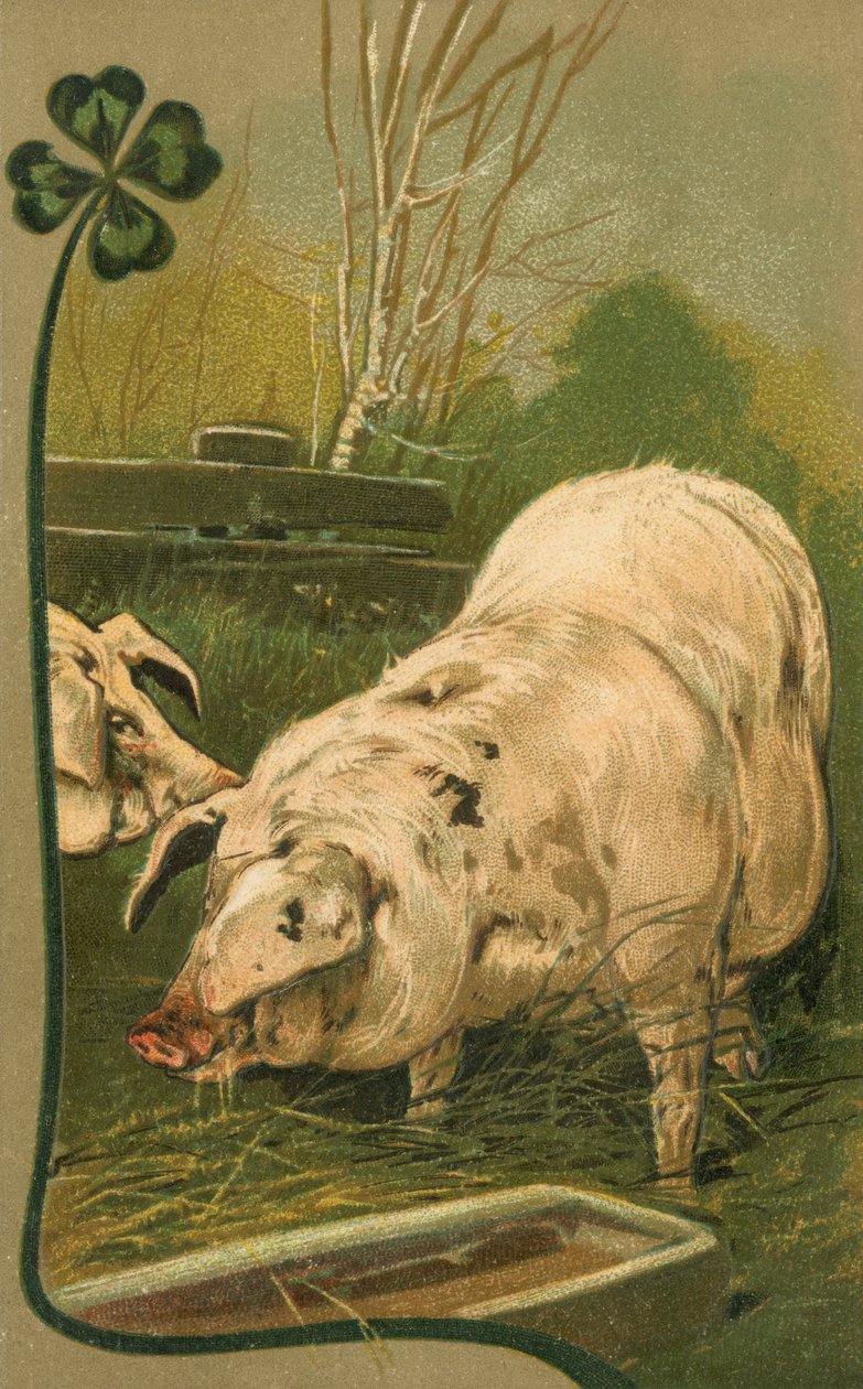 A Pig in Clover by European School