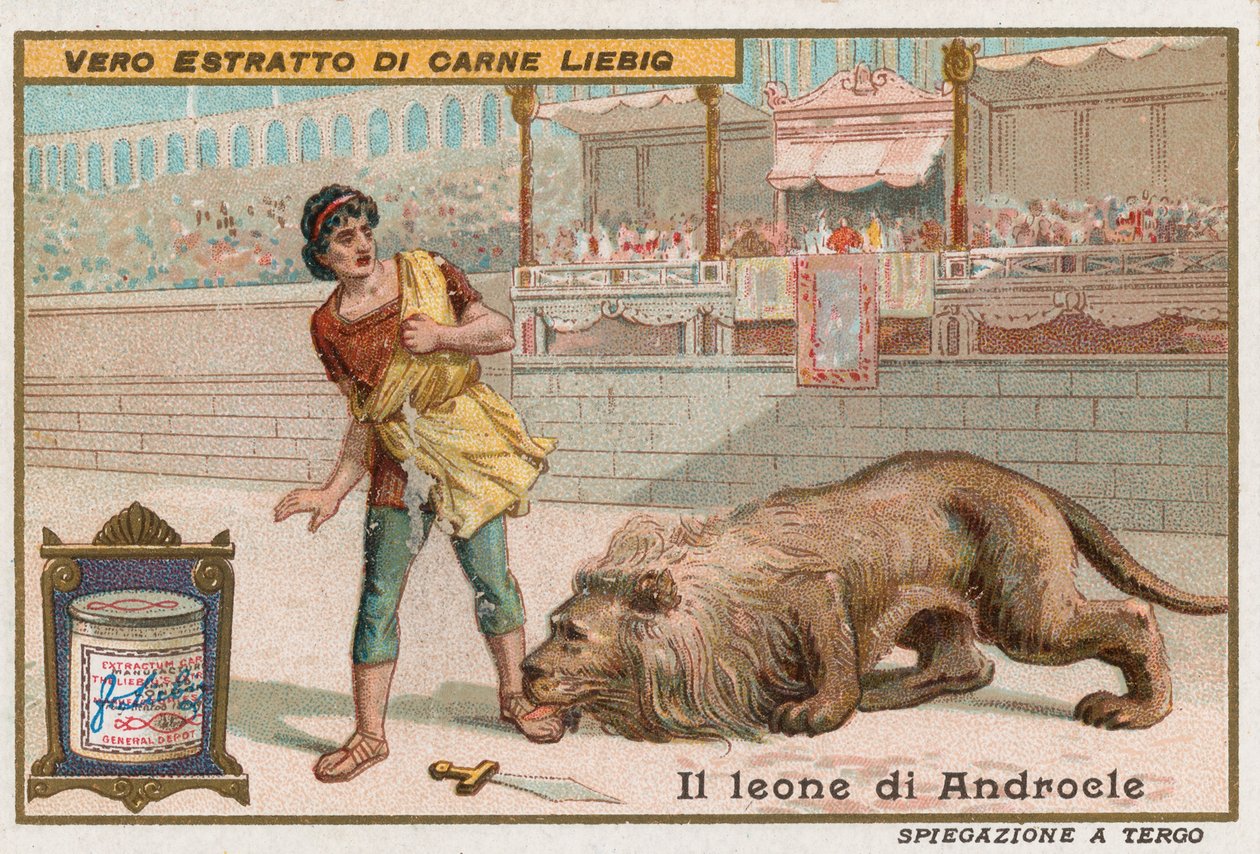 Androcles and the Lion by European School