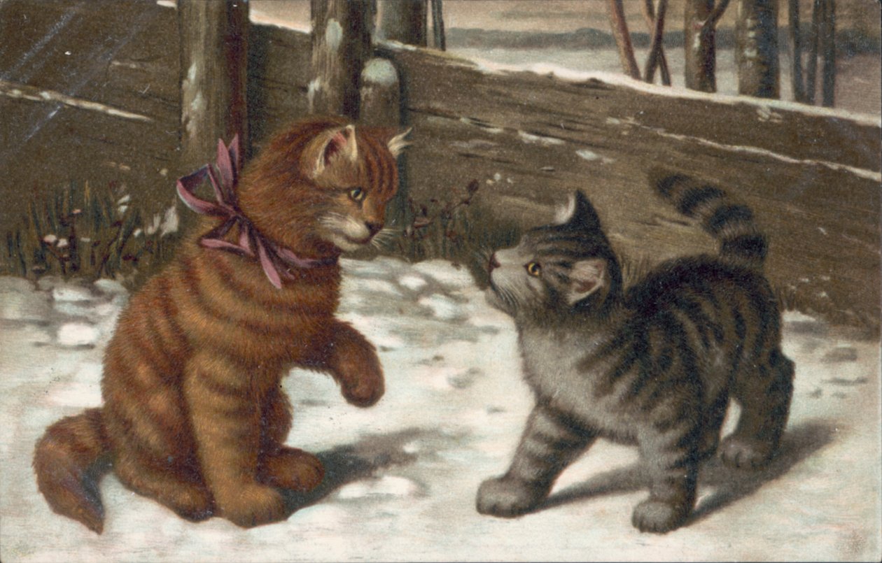 Cat Postcard by European School
