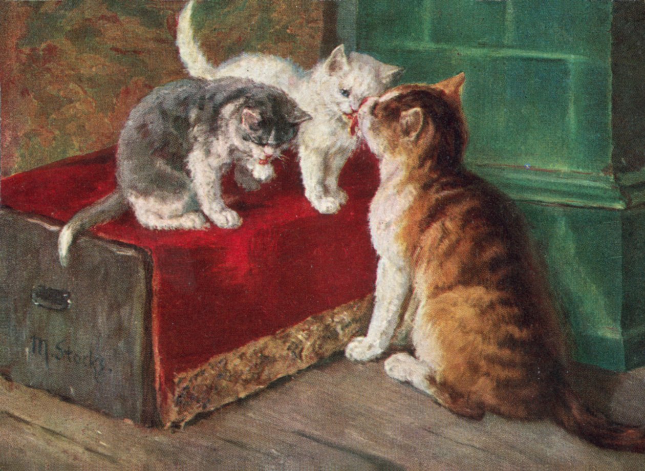 Cat Postcard by European School