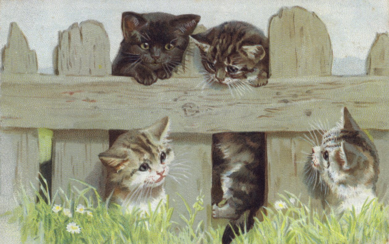 Four Kittens by a Fence by European School