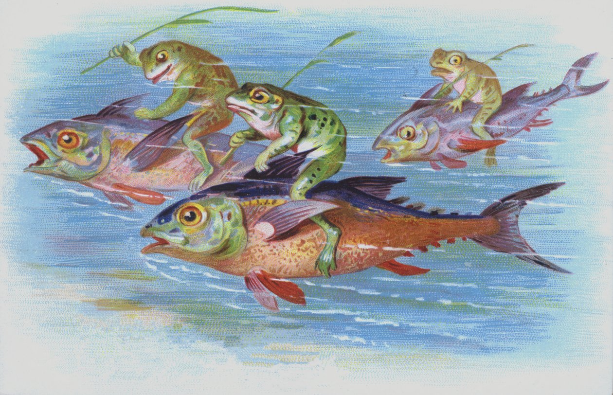 Frogs riding fishes by European School