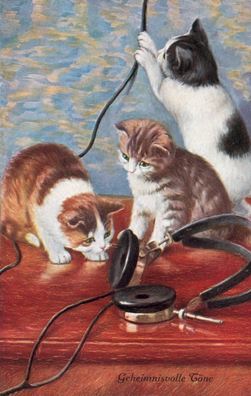 Humorous cat postcard by European School