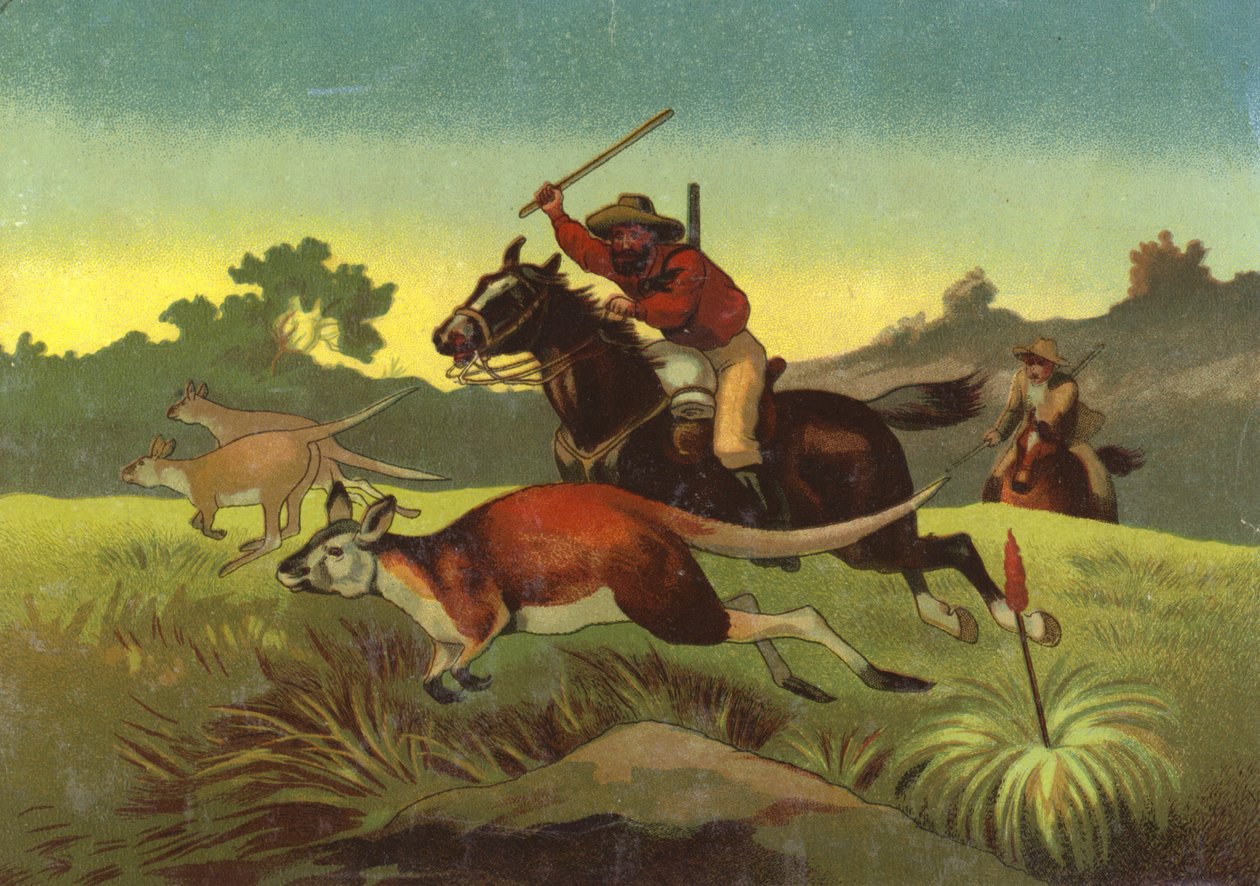 Hunting Kangaroos by European School