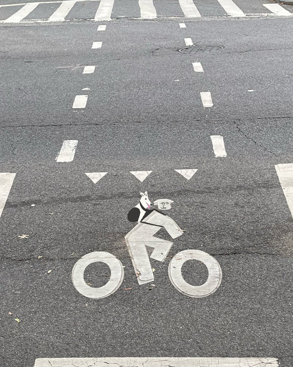 Bike Lane Signage On Street by Evan Sklar