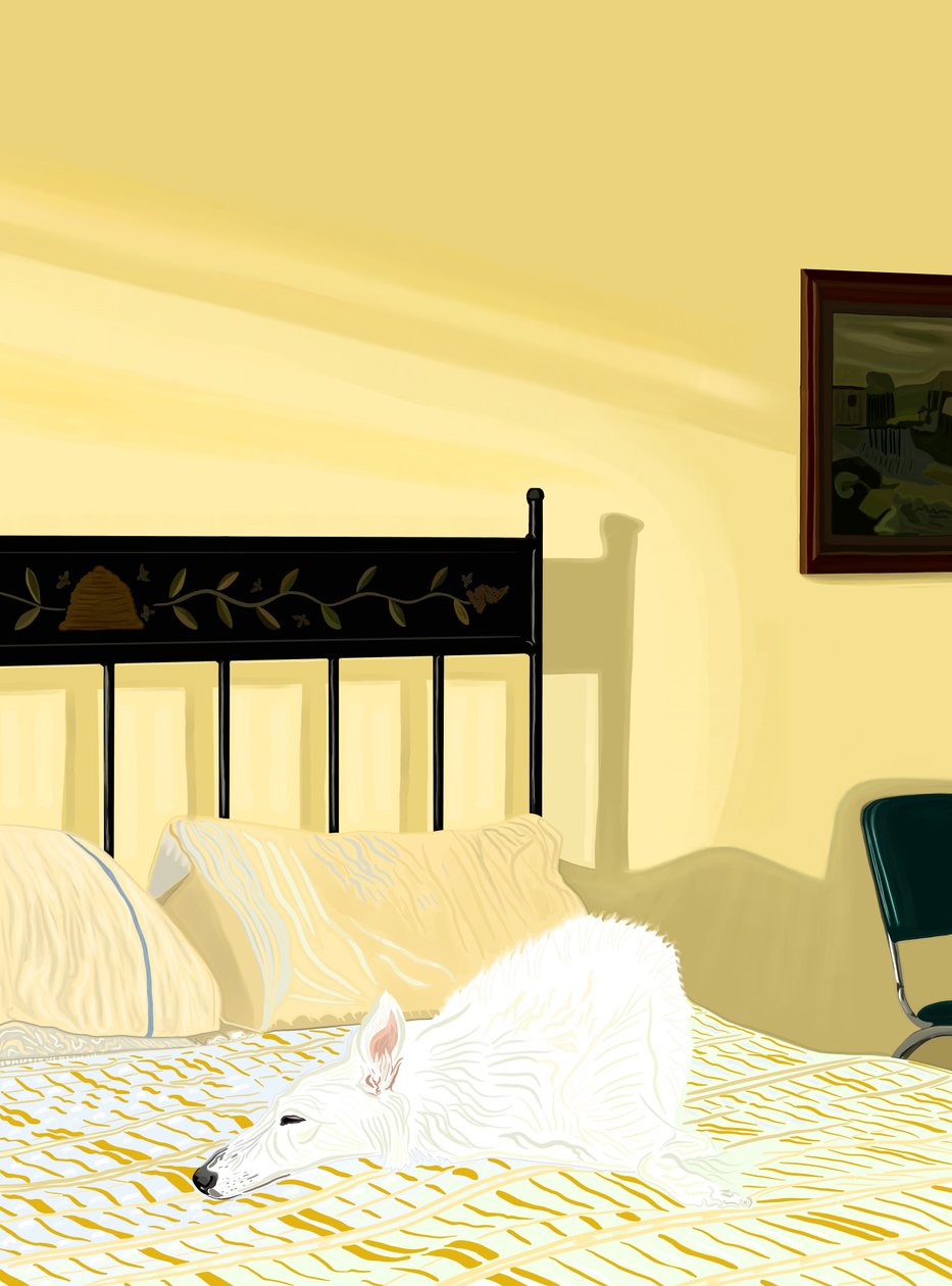 Dog resting on bed, c.2020-24 by Evan Sklar