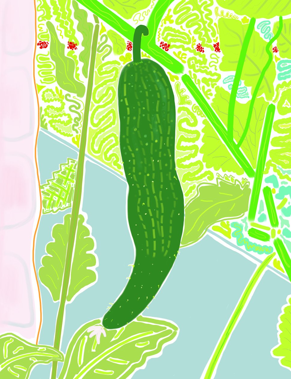 First Cucumber by Evan Sklar