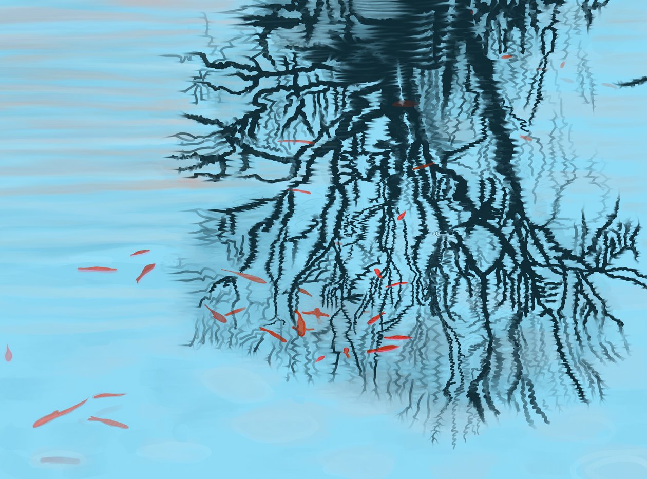 Koi and Tree Branches by Evan Sklar
