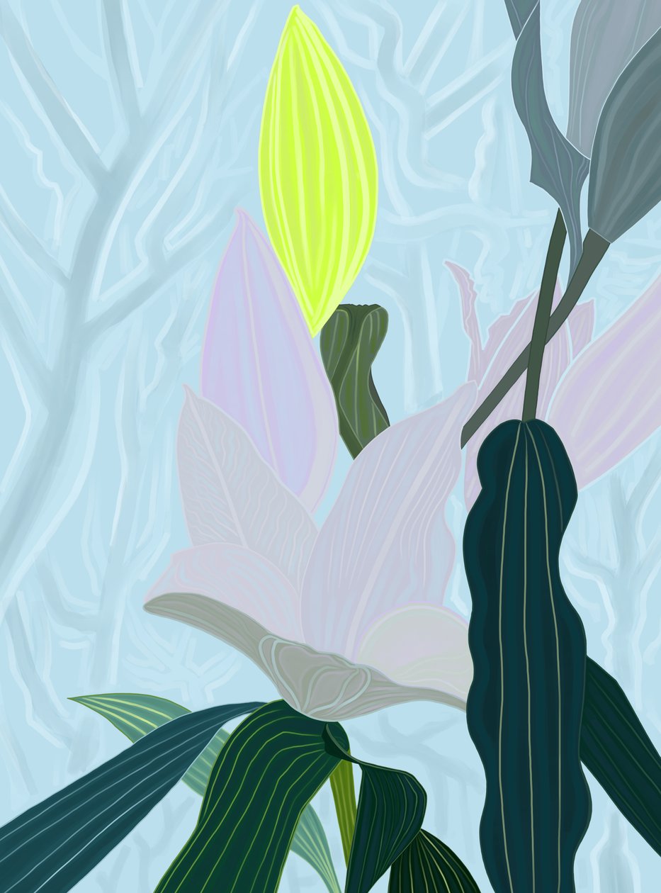 Lily by Evan Sklar