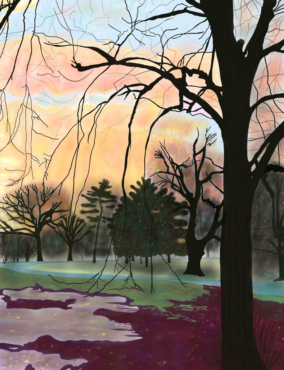 Prospect Park, Trees by Evan Sklar