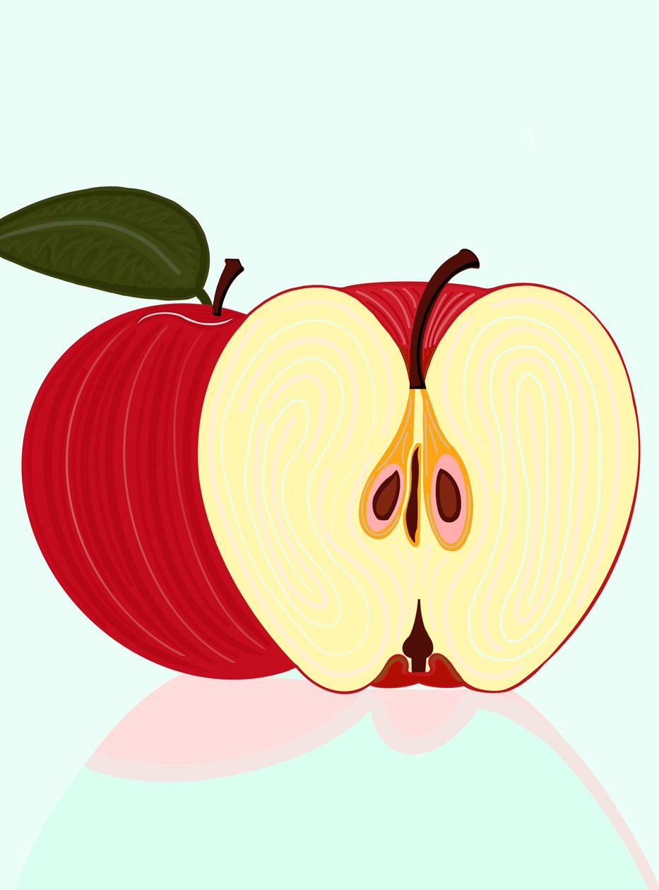 Sliced Apple Brooklyn by Evan Sklar