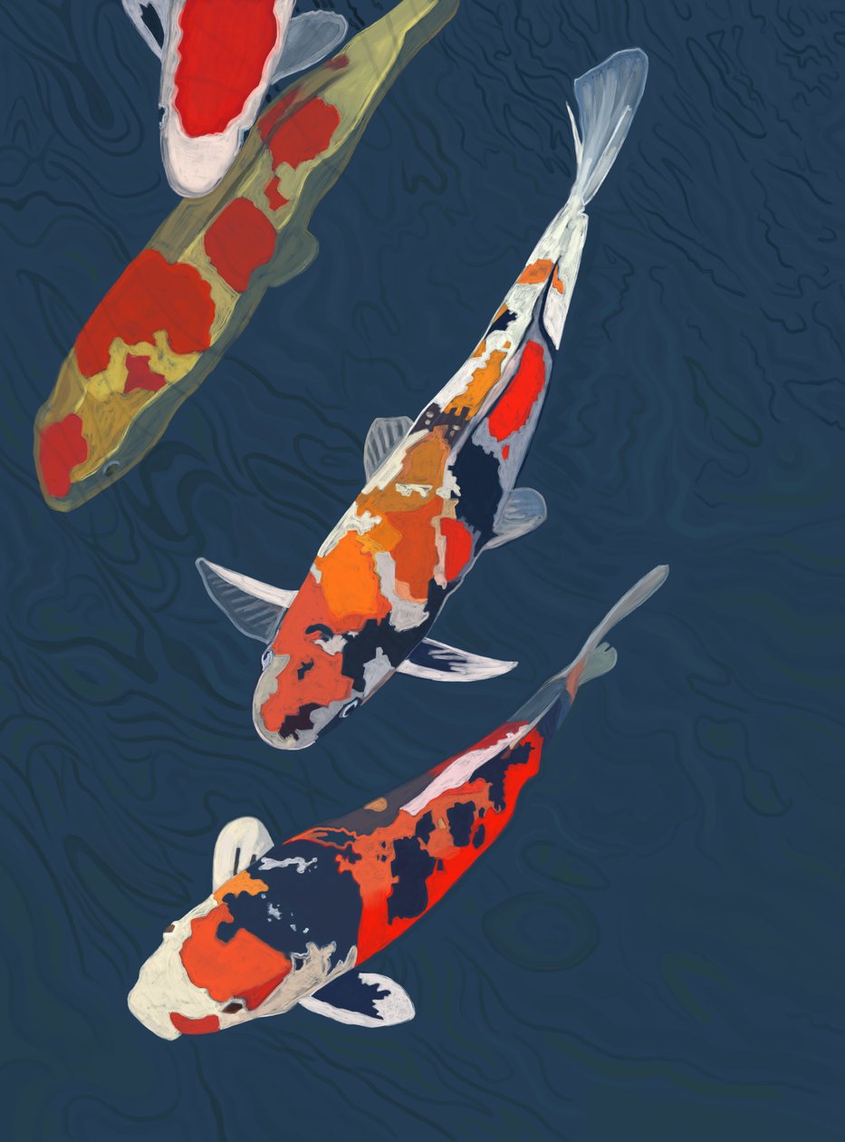 Three Koi by Evan Sklar