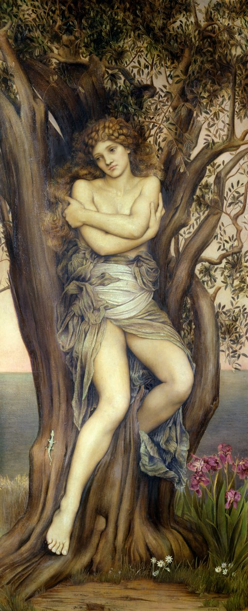 The Dryad by Evelyn De Morgan