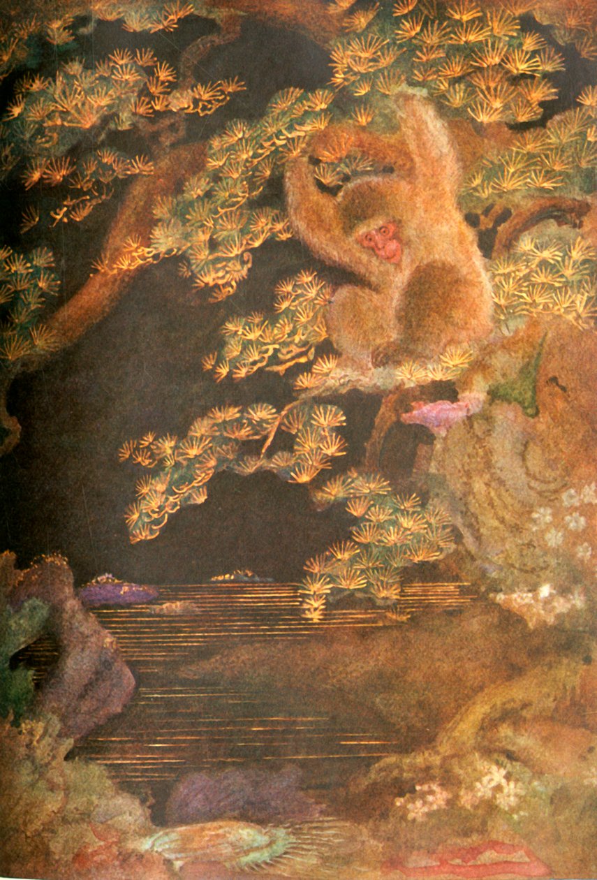 The Jelly Fish and the Monkey by Evelyn Paul